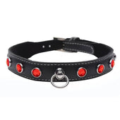 Black leather dog collar with red rhinestones and silver metal ring for confidence care and self-expression pride rave