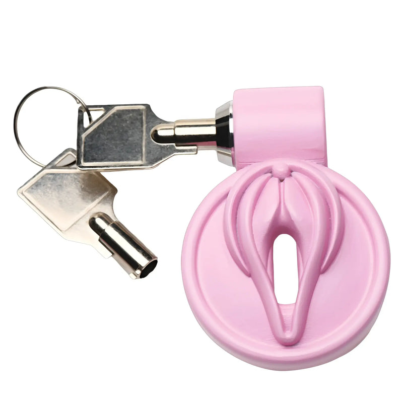 A pale pink plastic circular object with keys attached on white background.