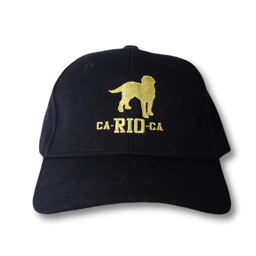 Dark cap with a gold-colored figure and lettering on the front.