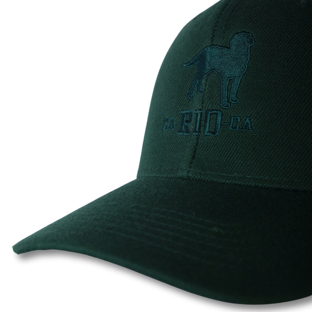 CA-RIO-CA The Stealth CA-RIO-CA  Logo Embroidered Baseball Hat