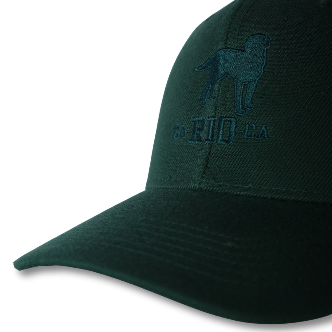 CA-RIO-CA The Stealth CA-RIO-CA  Logo Embroidered Baseball Hat