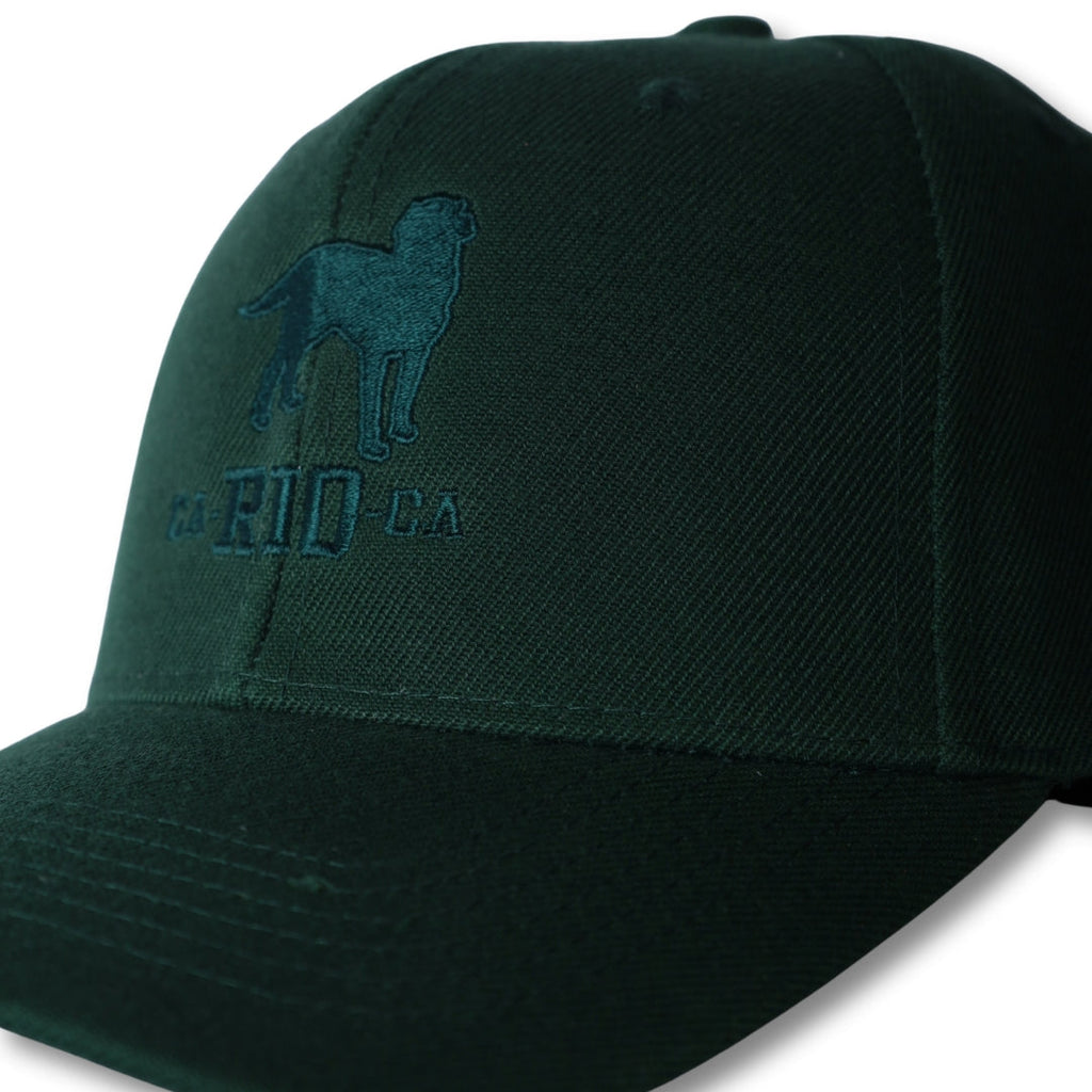 CA-RIO-CA The Stealth CA-RIO-CA  Logo Embroidered Baseball Hat