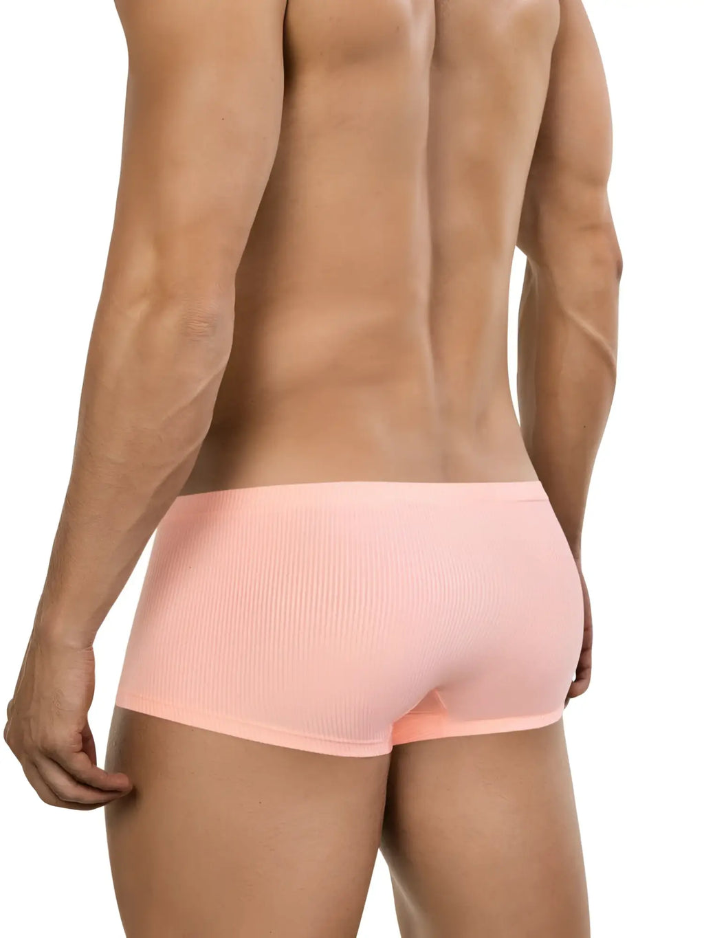 Clever 26014 Apolo trunks in orange, back view of the ribbed underwear on a model.