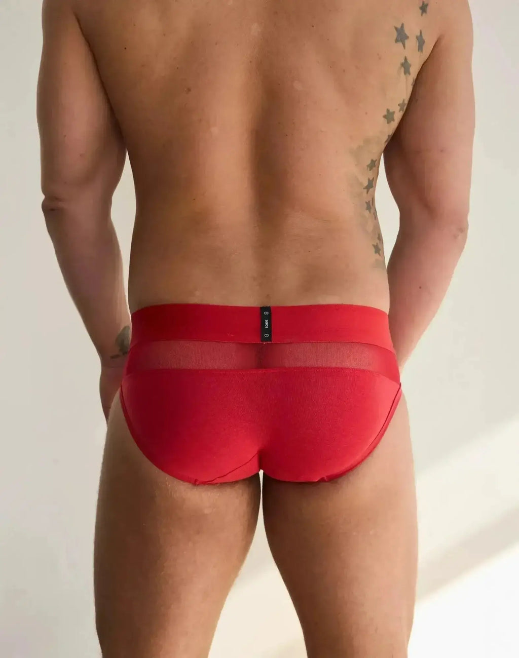 2eros morpheus brief underwear in red with a sheer mesh front panel and black brand tag on the waistband