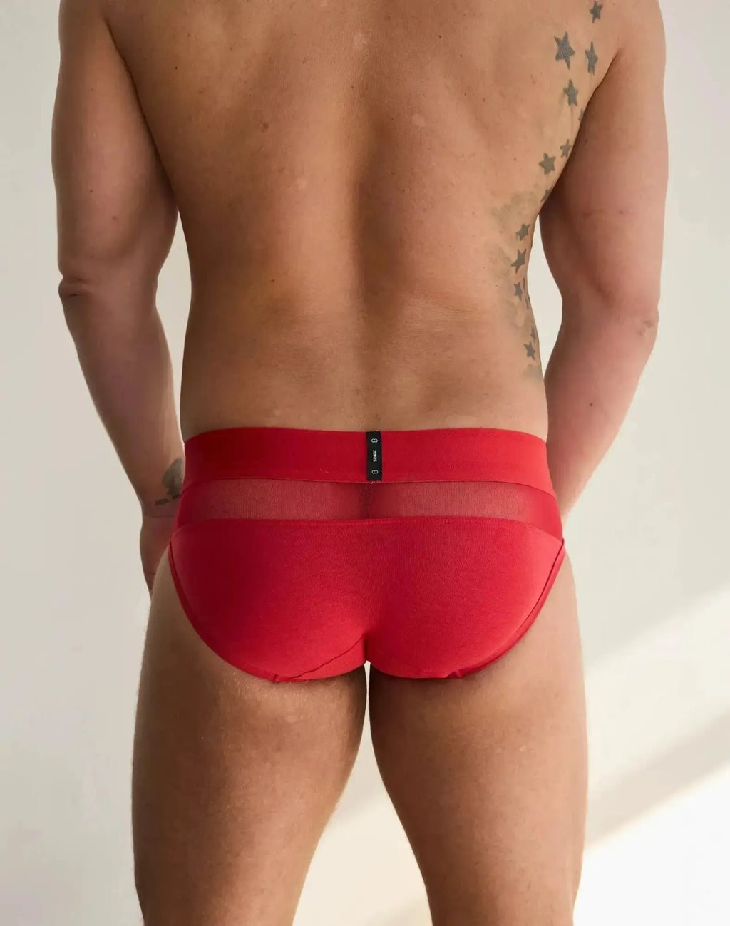 2eros morpheus brief underwear in red with a sheer mesh front panel and black brand tag on the waistband