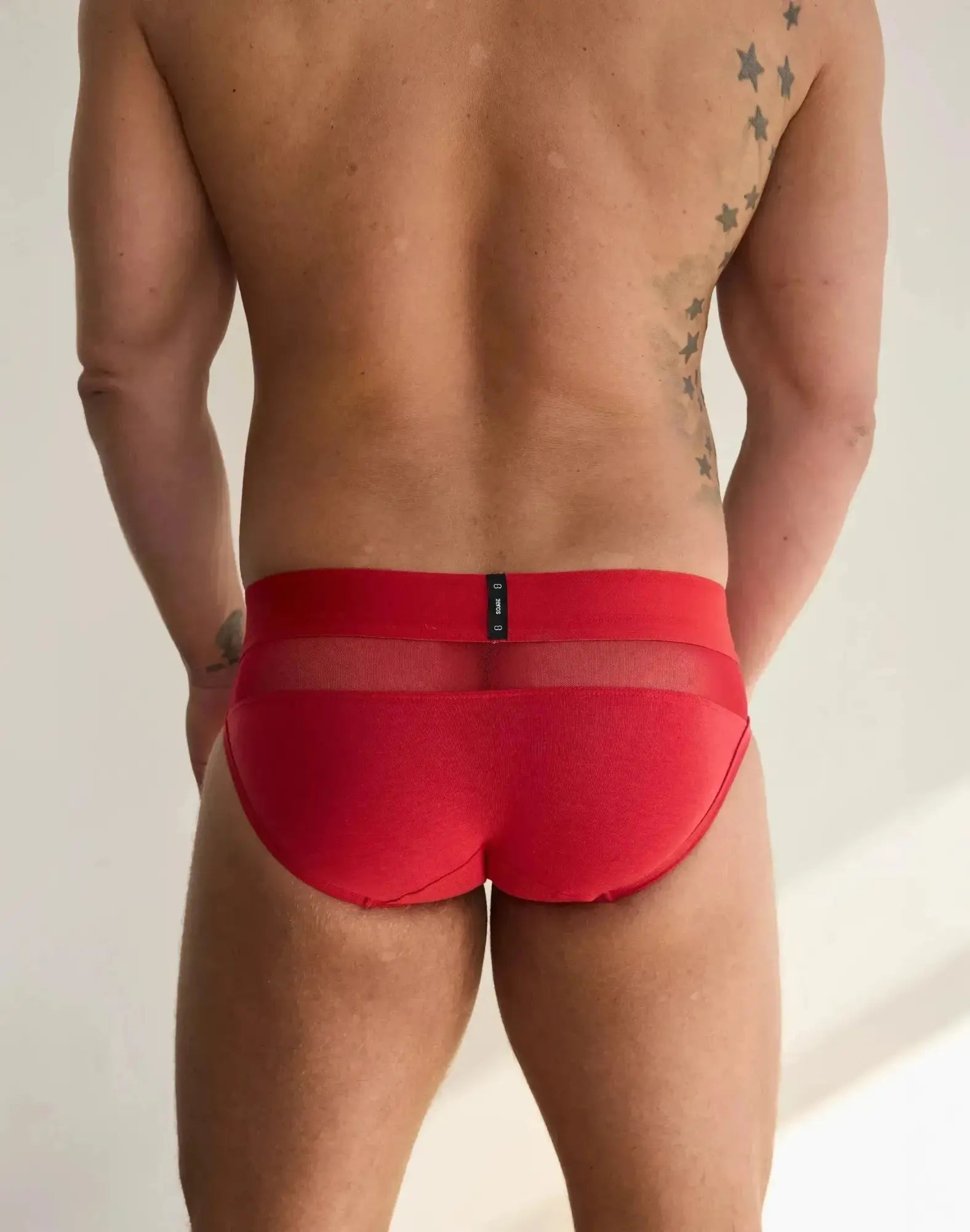 2eros morpheus brief underwear in red with a sheer mesh front panel and black brand tag on the waistband