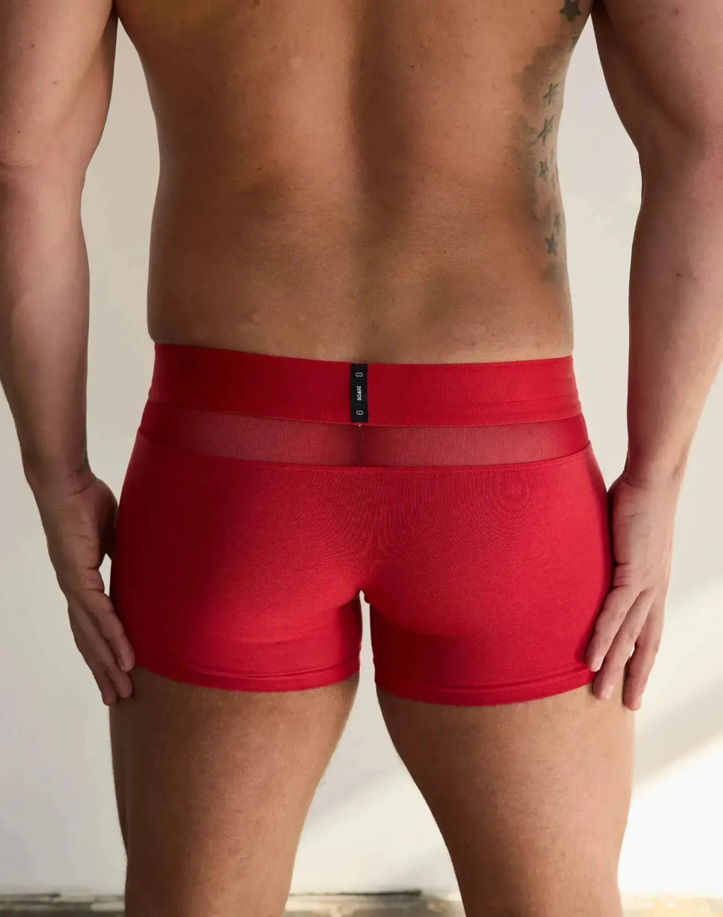 2eros morpheus trunk underwear in red with a sheer mesh panel at the waistband for athletic support