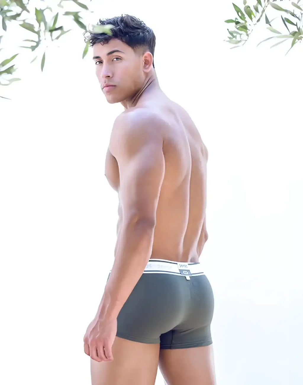Dark gray calvin klein boxer briefs with white elastic waistband and logo paired with 2EROS titan trunk underwear.