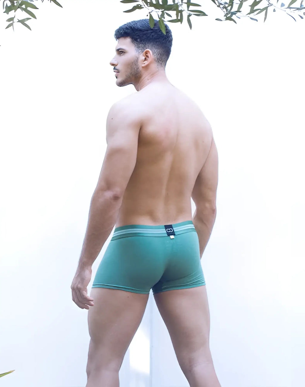2eros u30 athena trunks underwear in shale green with teal boxer briefs and subtle striped waistband