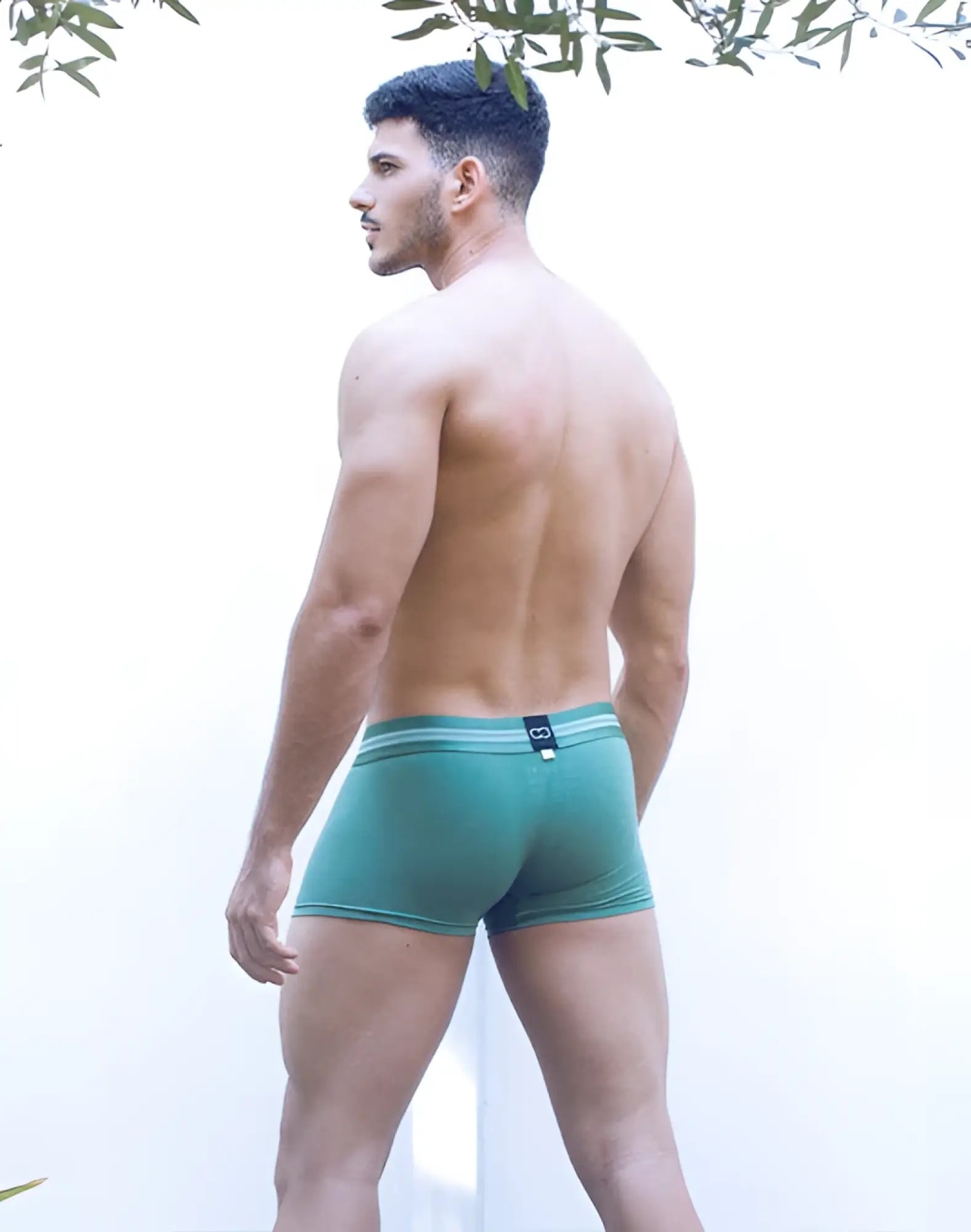 2eros u30 athena trunks underwear in shale green with teal boxer briefs and subtle striped waistband