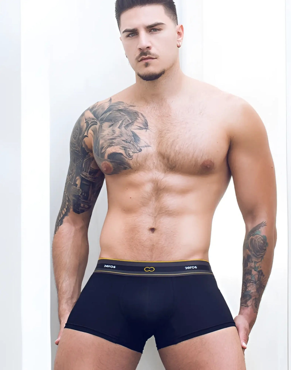 Black 2eros u31 adonis trunk underwear with gold and white striped waistband featuring swiss logo