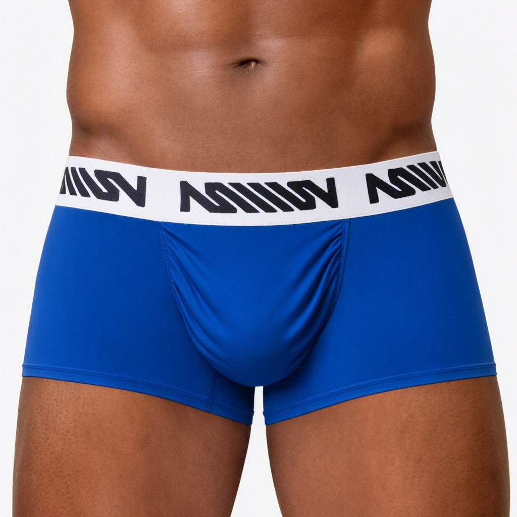 MetroMaleWear (M2W) Men's Gavio Trunk Royal Blue 3113-55