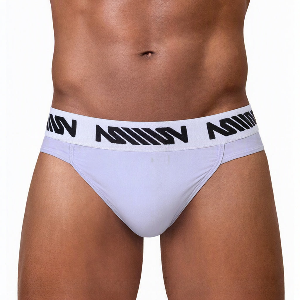 MetroMaleWear (M2W) Men's Gavio Brief Lavender 3506-50