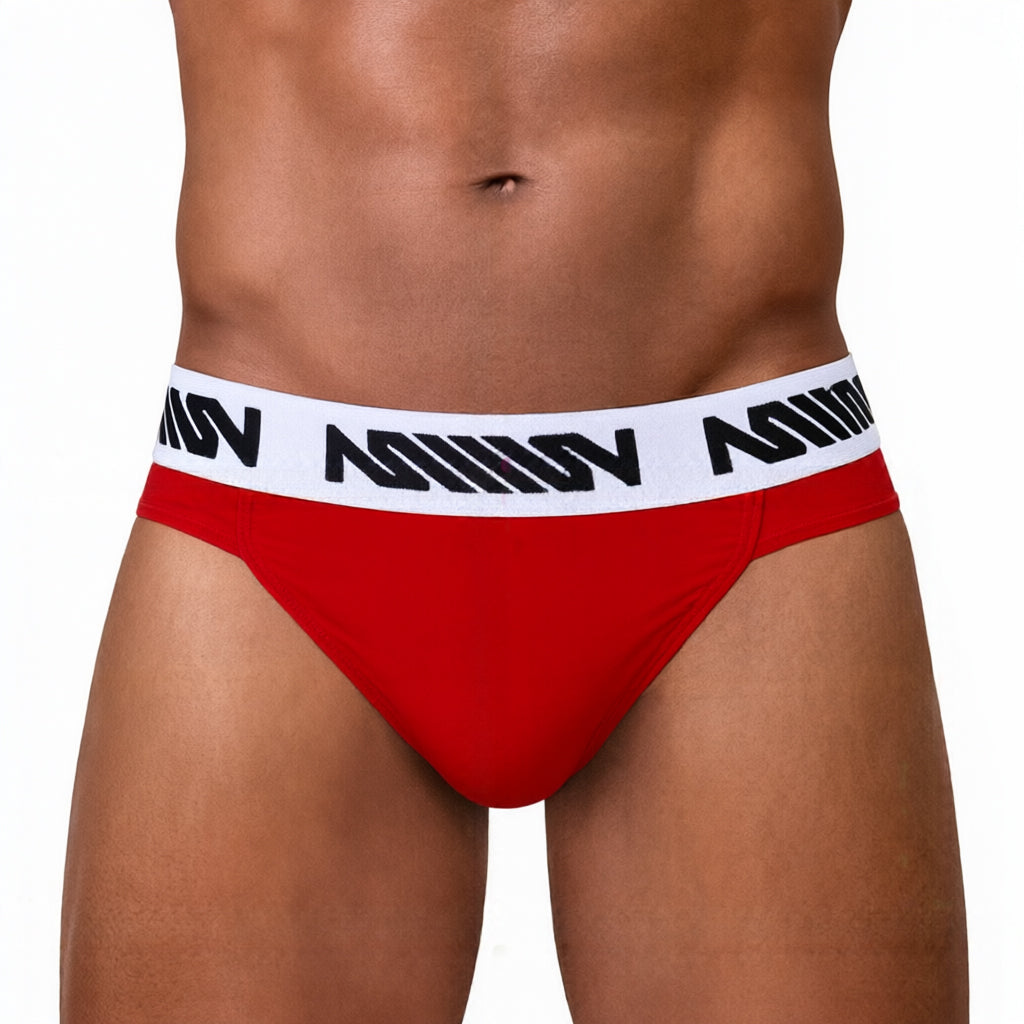 MetroMaleWear (M2W) Men's Gavio Brief Red 3506-54