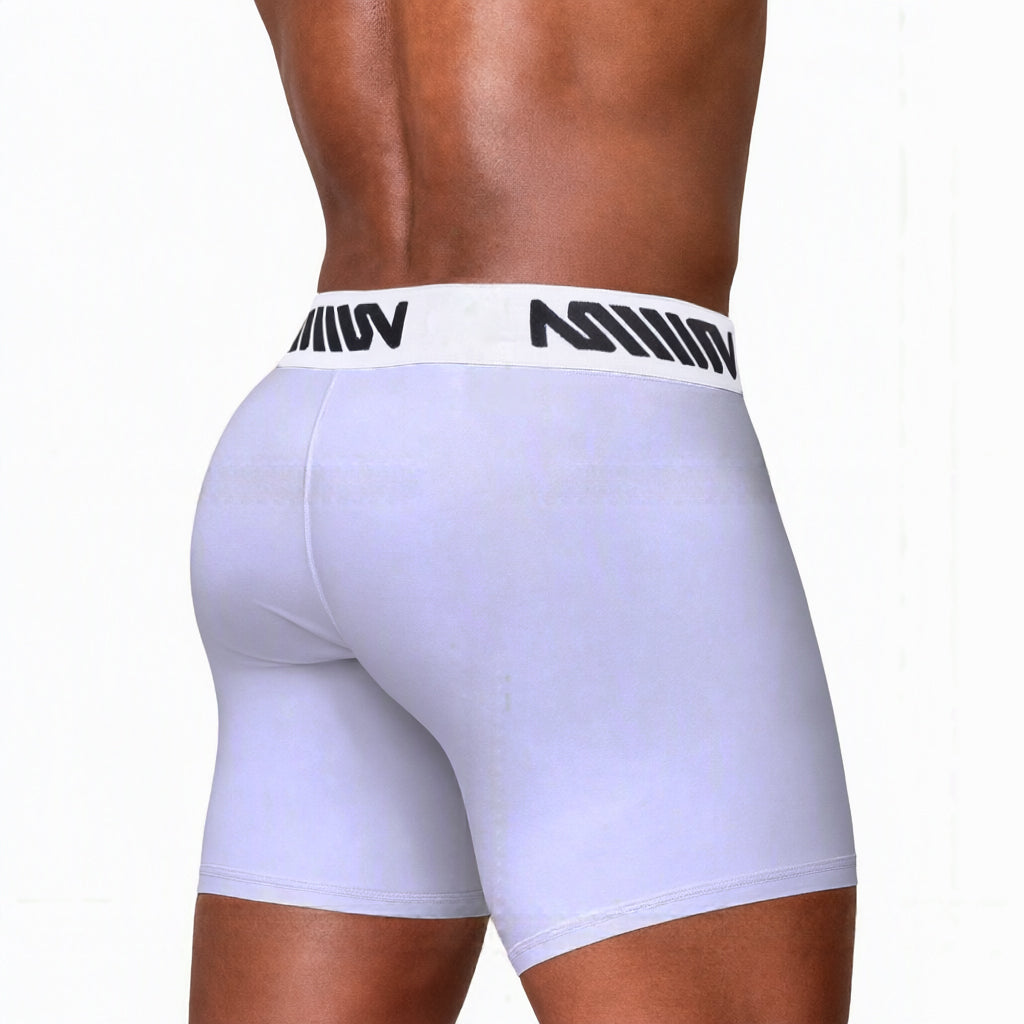 MetroMaleWear (M2W) Men's Gavio Boxer Brief Lavender 3515-50