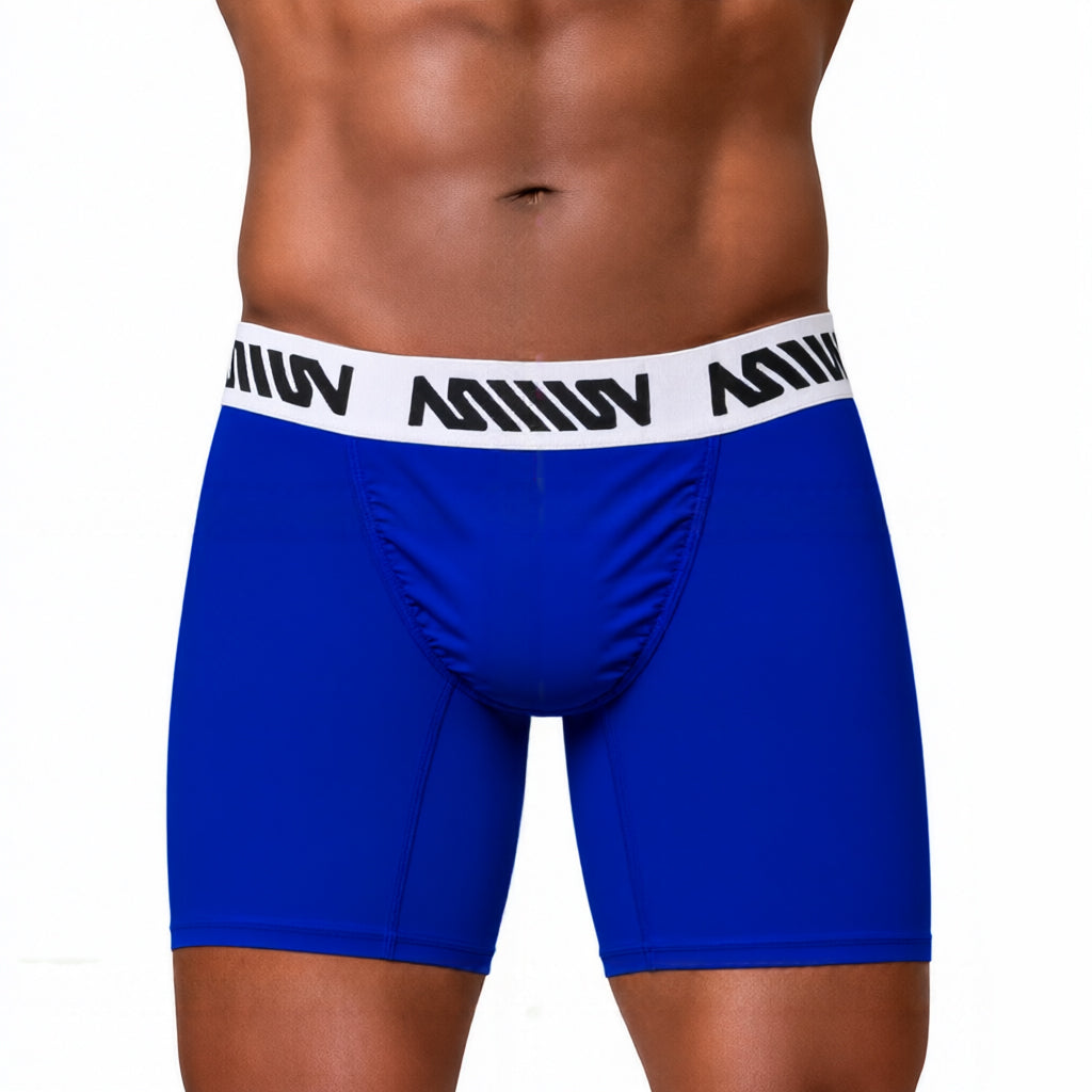 MetroMaleWear (M2W) Men's Gavio Boxer Brief Royal Blue 3515-55