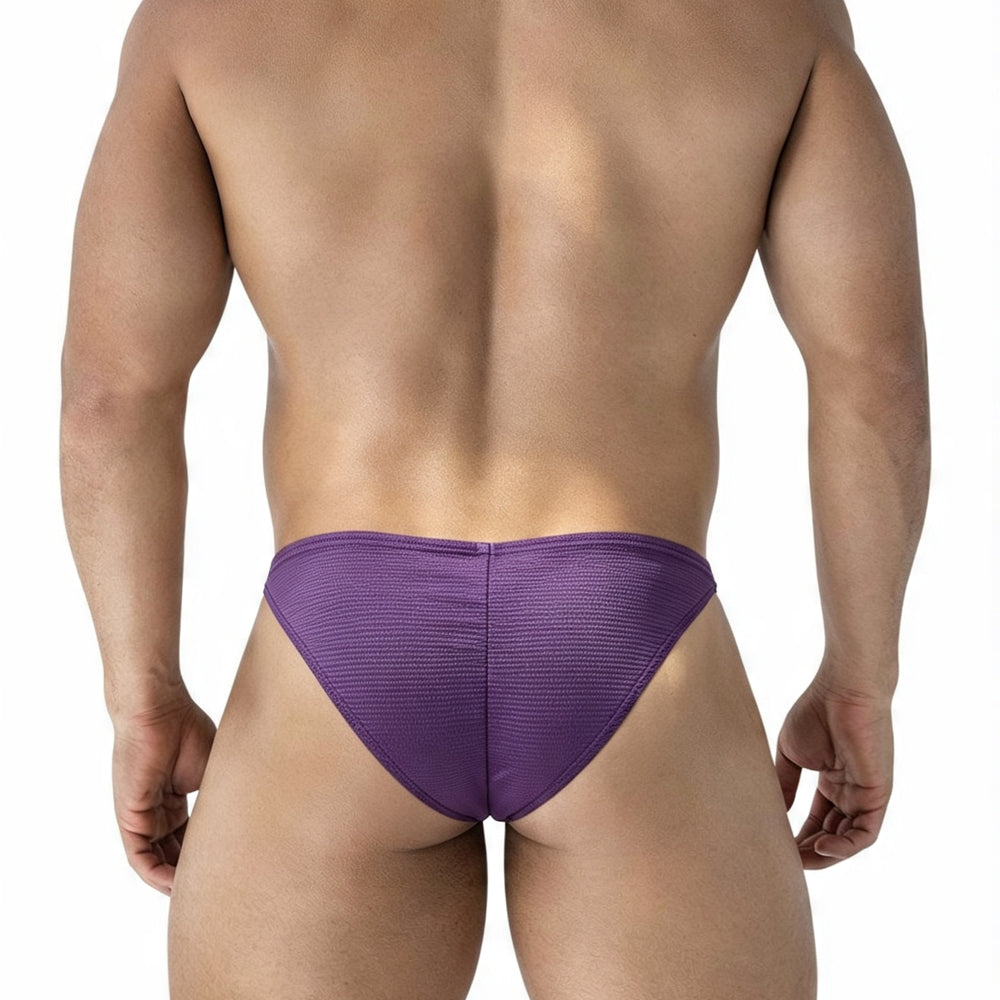 MetroMaleWear (M2W) Men's Fantasy Bikini Violet 6116-56