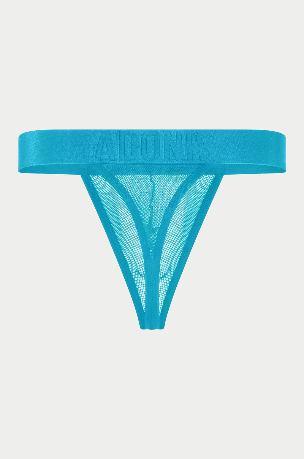 Adonis by Kyhry Men's Luxe Mesh Temptation Blue Thong