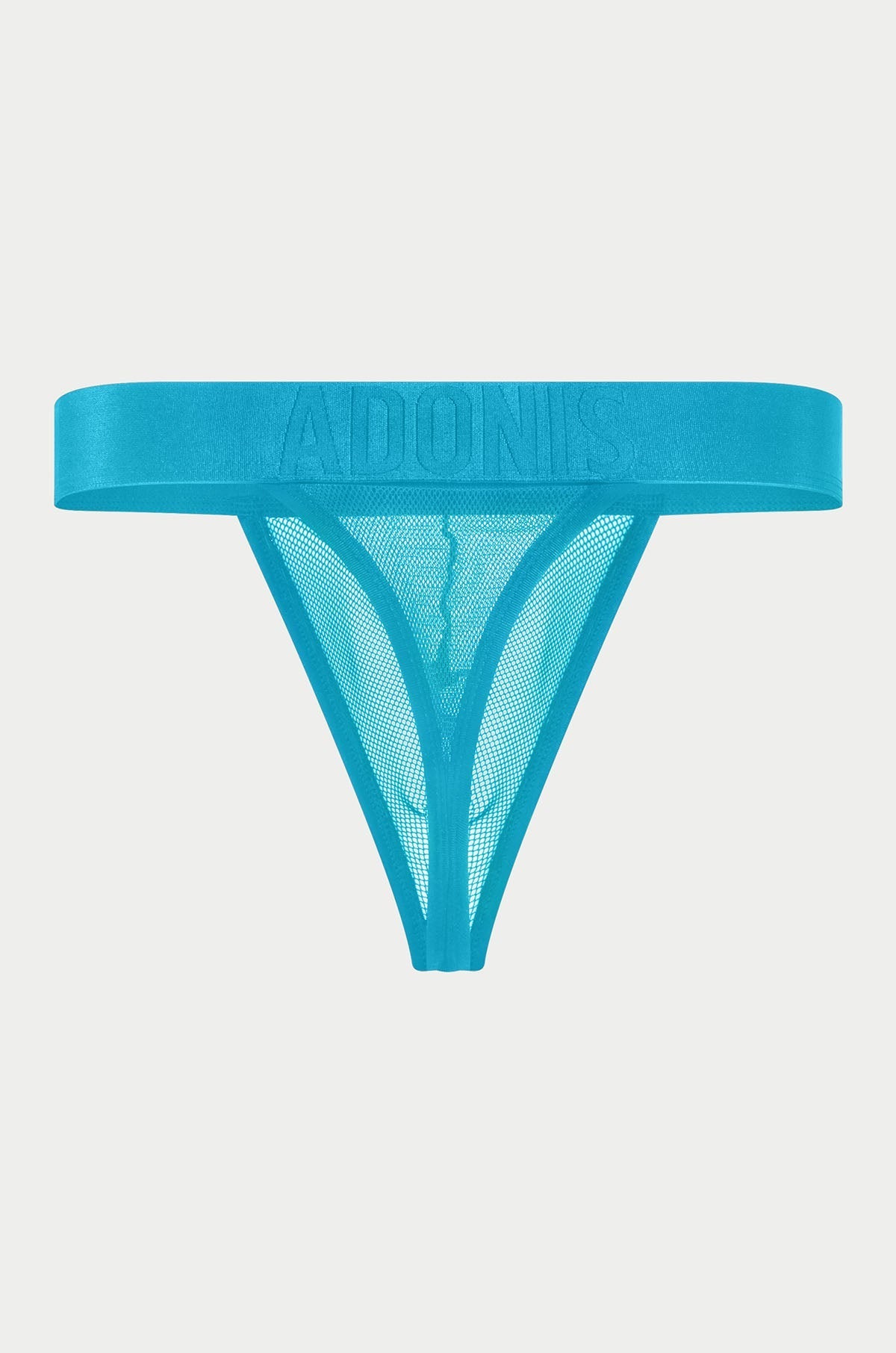 Adonis by Kyhry Men's Luxe Mesh Temptation Blue Thong
