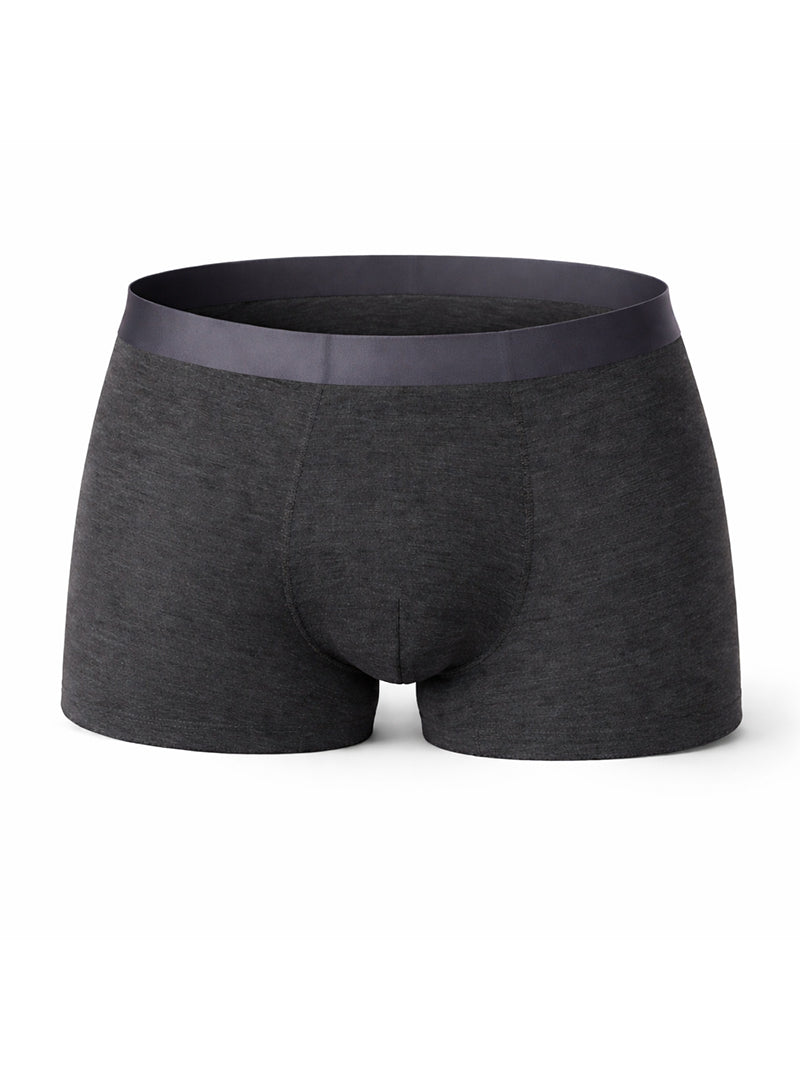 Andrew Velasco Men's Essential Sheer Trunk