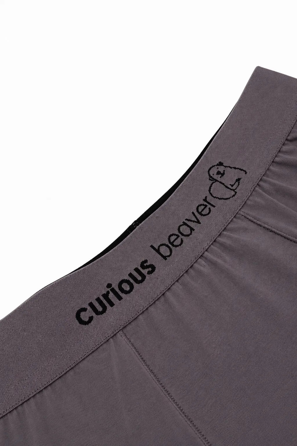 Curious Beaver Men's Soft Modal Boxer Briefs - Storm Gray