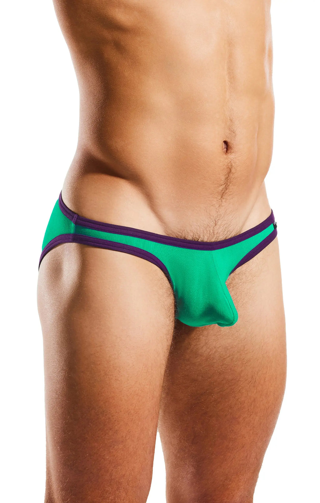 Torso and thighs of a person wearing green briefs with purple trim.