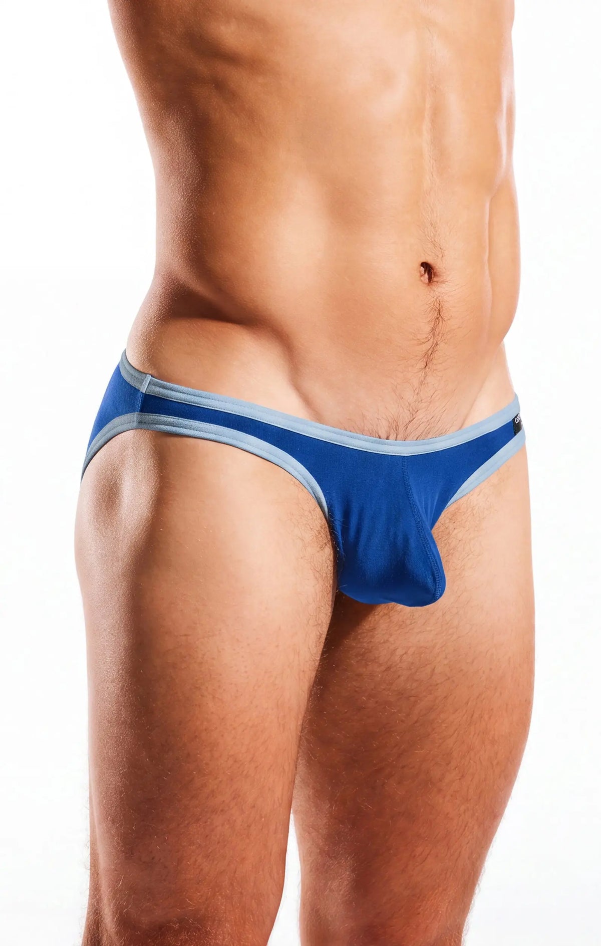 Photograph of a person's torso and thighs wearing blue briefs with gray trim on a white background.