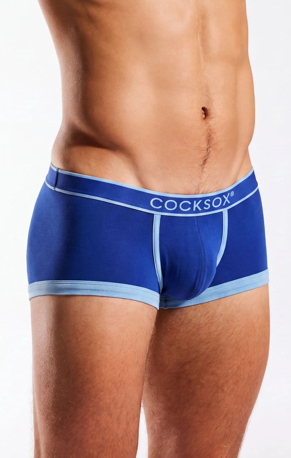 Torso in blue and light blue underwear with a branded waistband, against a white background.