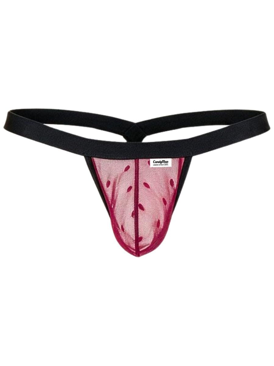 CandyMan wine mesh thong with black waistband and sheer front pouch.