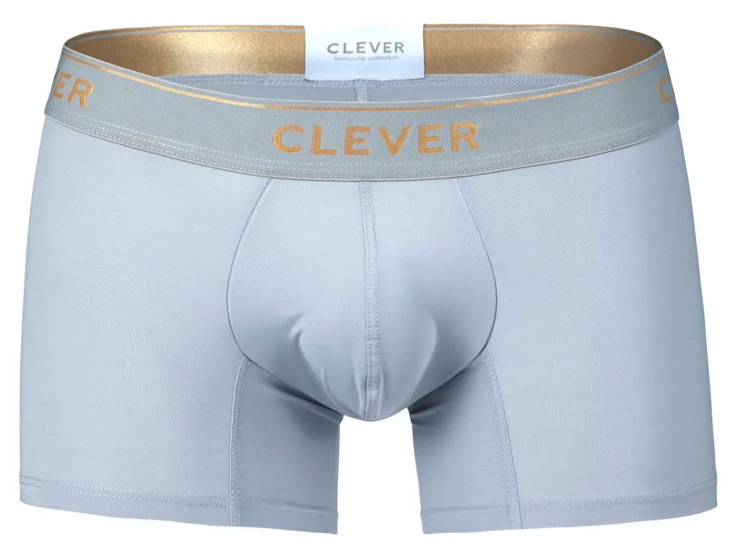 Clever Moda メンズ下着 2026 バリャドリード トランクス グレー
