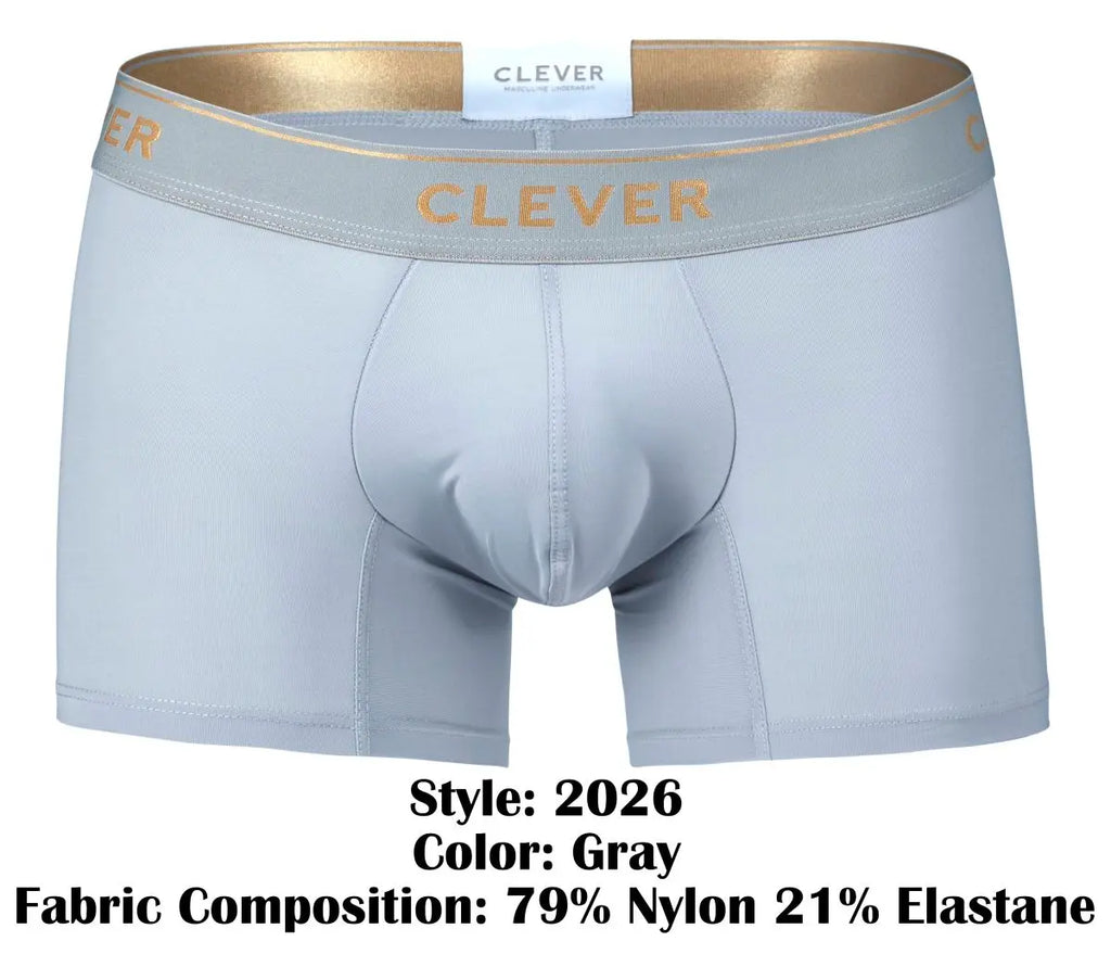 Clever Moda メンズ下着 2026 バリャドリード トランクス グレー