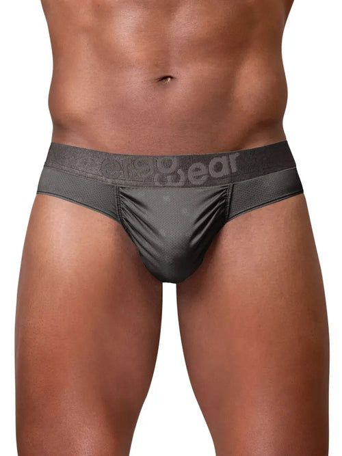 Front view of a model wearing dark gray underwear with a wide logo waistband.