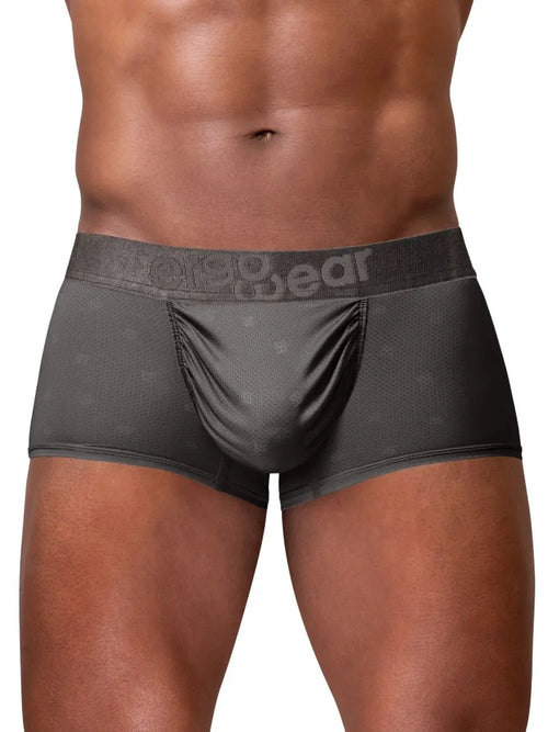Front view of a model wearing dark gray trunk underwear with a logo waistband.
