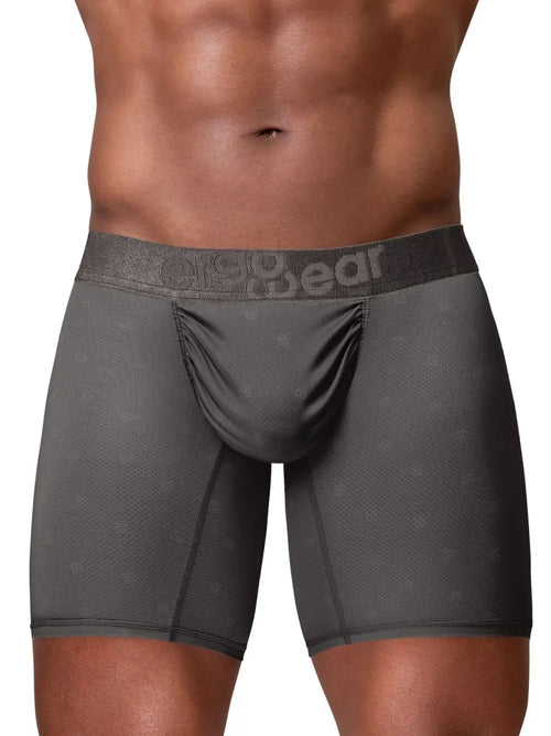 Front view of a model wearing dark gray boxer briefs with a wide logo waistband.