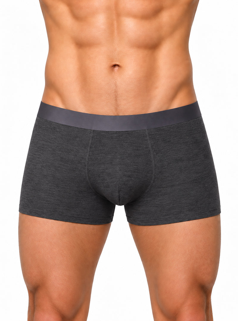 Andrew Velasco Men's Essential Sheer Trunk