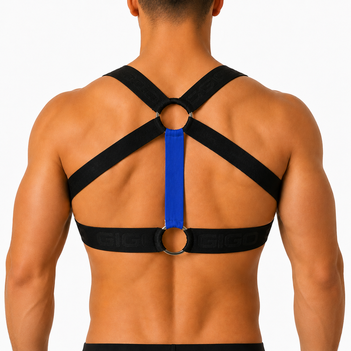 Back view of Gigo Flux Blue harness featuring black elastic straps, blue center fabric, and silver O-ring details.