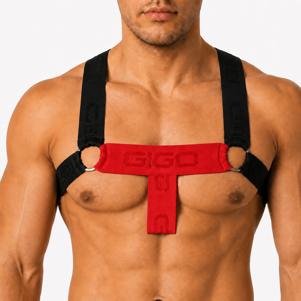 Front view of Gigo Flux red and black harness with metal O-rings and embossed Gigo logo on fabric straps.