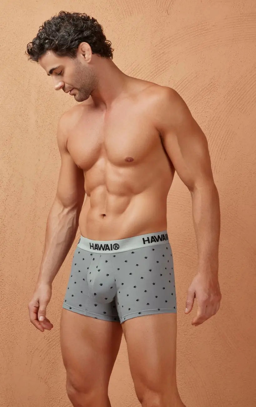 HAWAIR メンズ下着 42571 コットン混紡 トランクス グレー