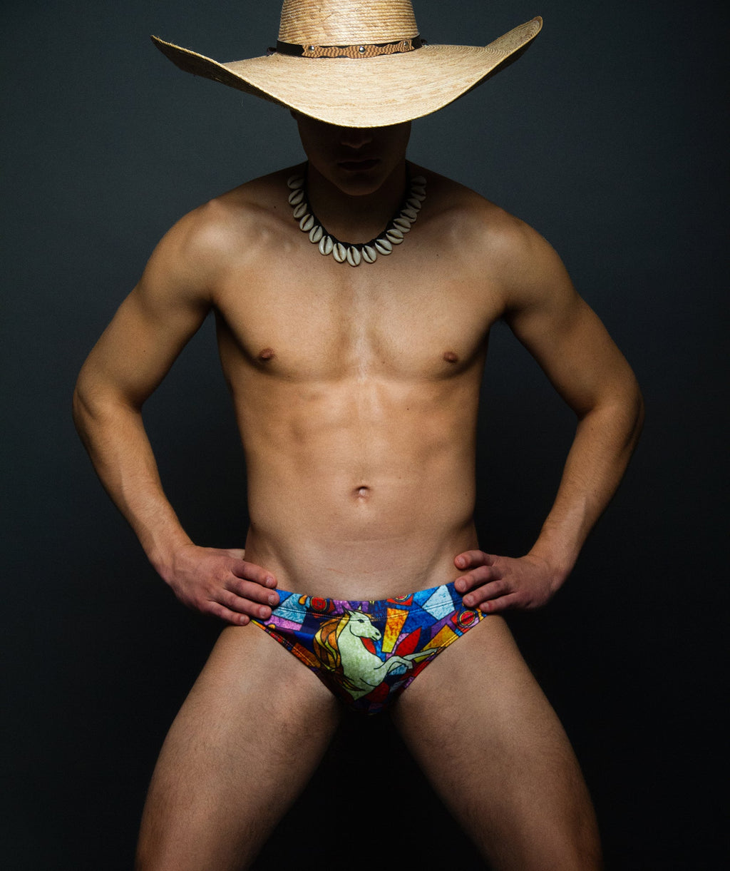Maris Equi Stained Glass Men's Swim Briefs