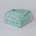 Cloud Plush Fur Throw Blanket - Turquoise