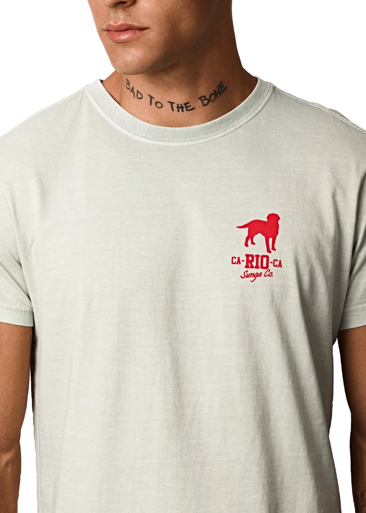 CA-RIO-CA Beach Boys- Men's T-Shirt