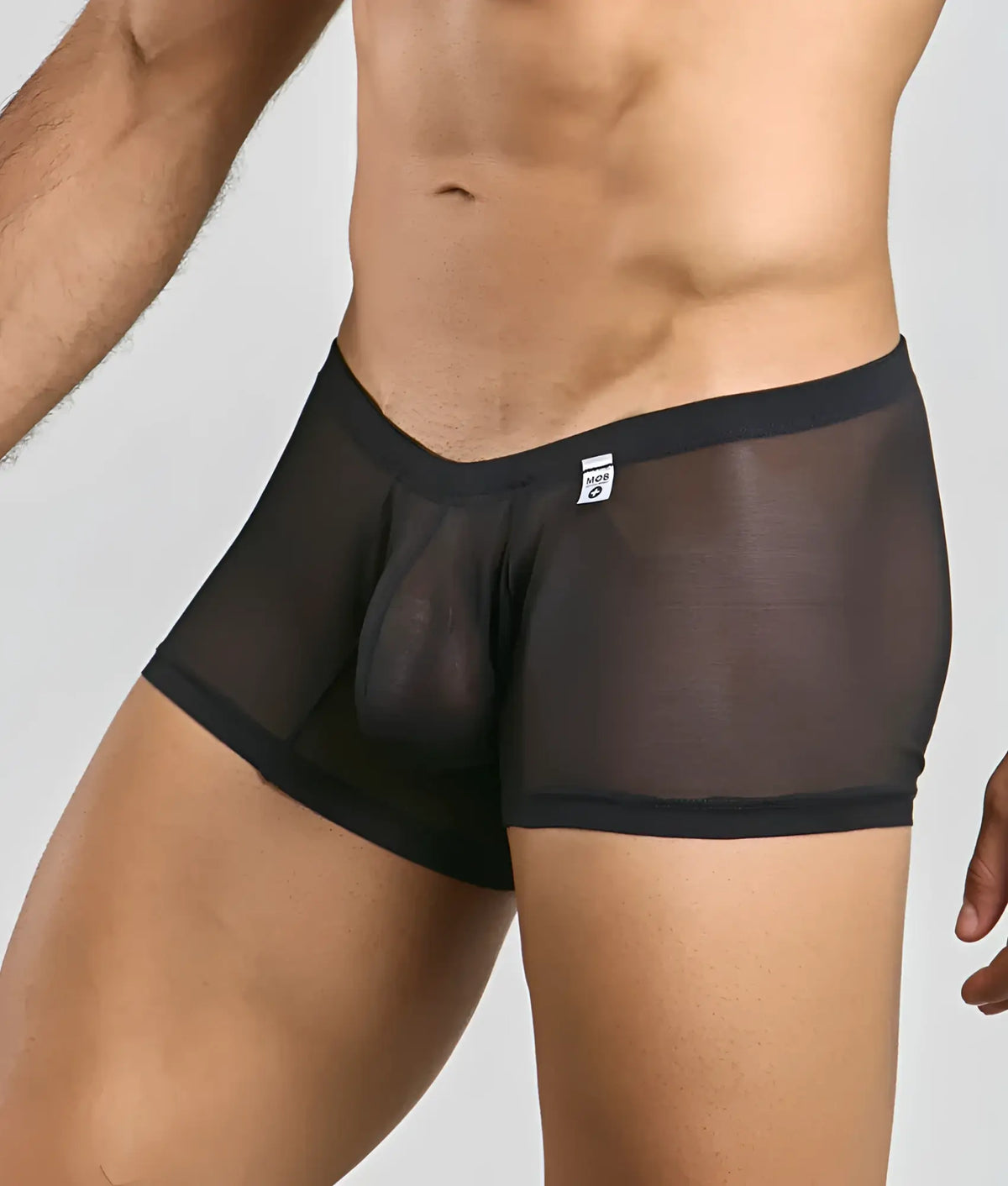 Black sheer mesh briefs with solid black waistband and leg openings in MOB menâ€™s lace boxer style
