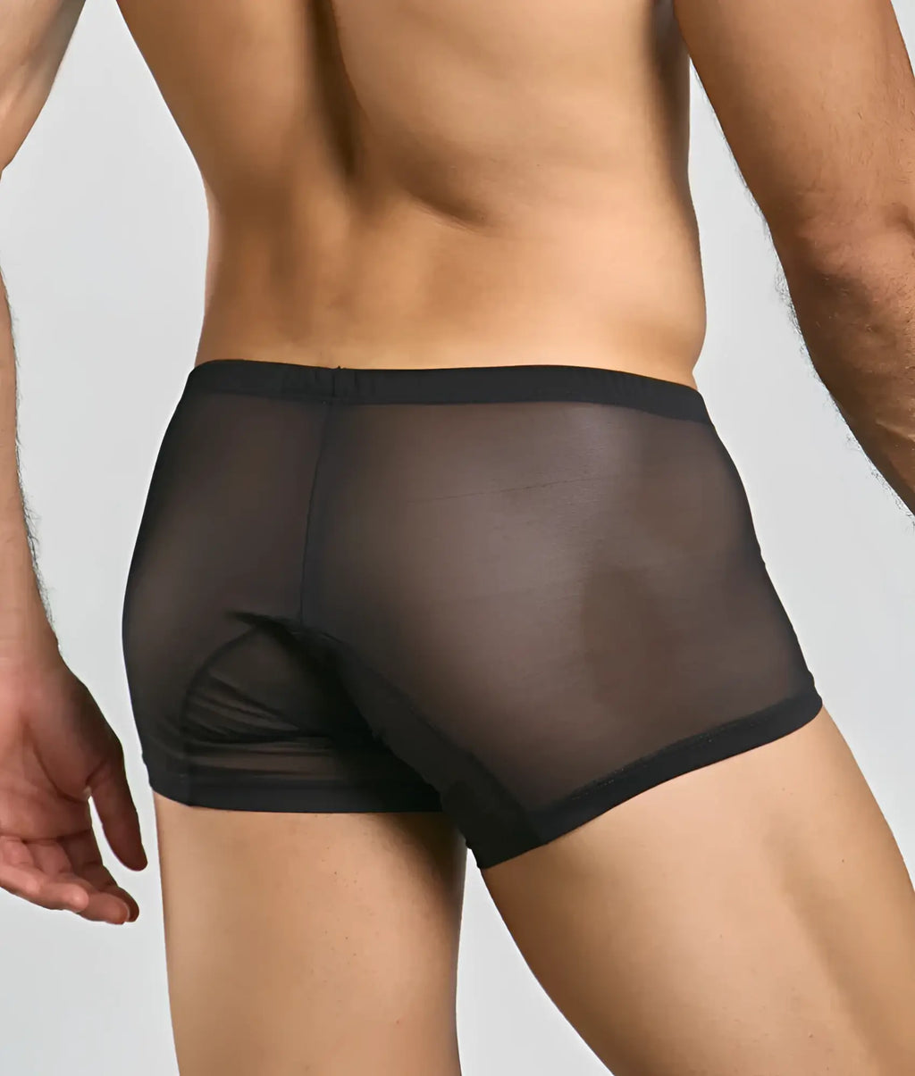 Black sheer mesh briefs with solid waistband and leg openings from MOB mens lace boxer collection front view