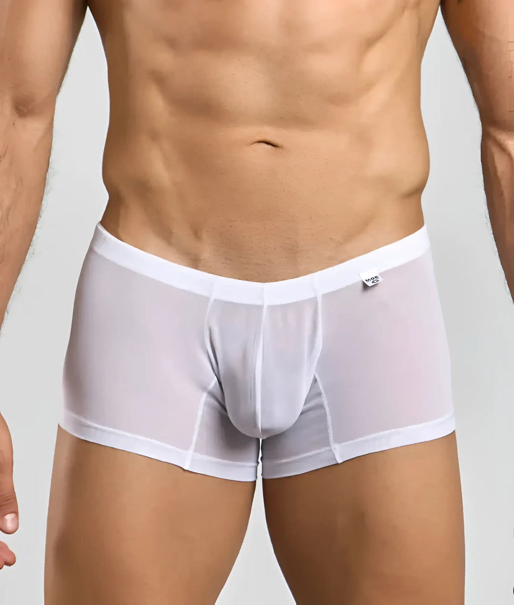 Mob menâ€™s lace boxer white sheer mesh briefs with solid waistband and subtle stitching details front view
