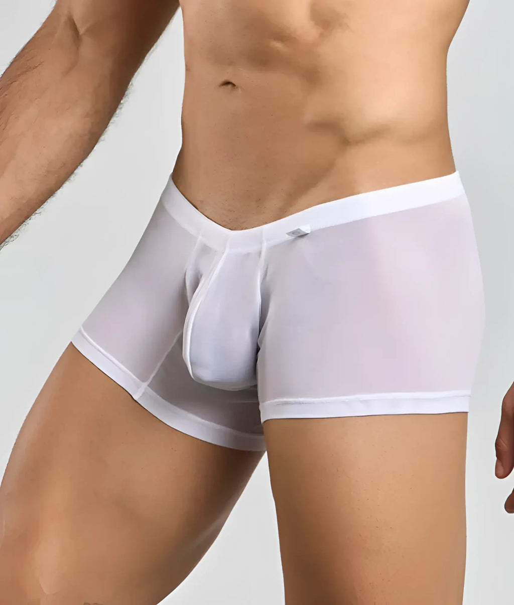White sheer menâ€™s lace boxer briefs with solid white waistband and leg openings showing the front side