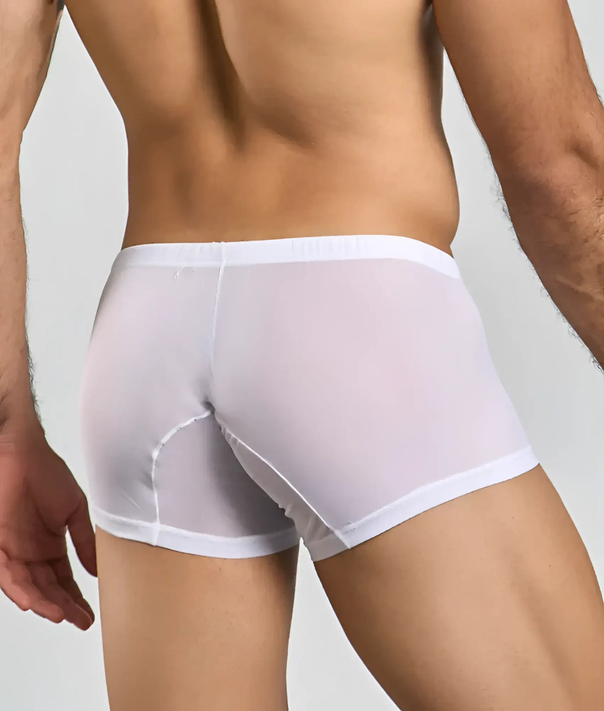 Mob menâ€™s lace boxer white sheer boxer briefs with solid white waistband and leg openings front view