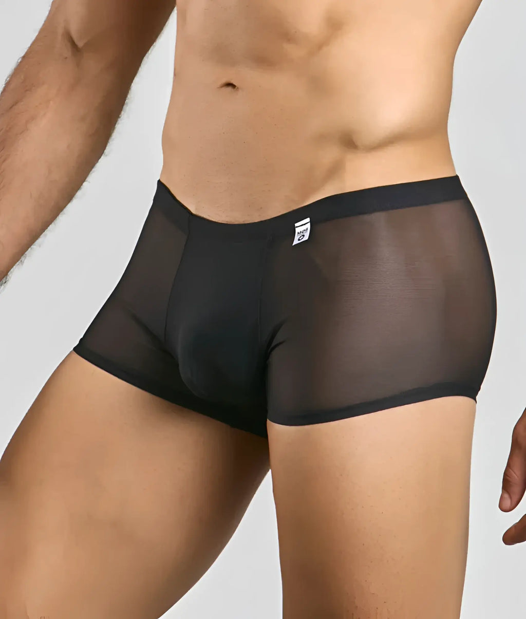 Black sheer mesh menâ€™s mesh lace pouch trunk briefs with solid waistband and small white brand tag