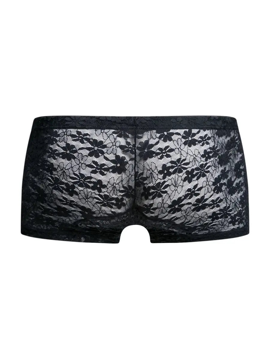 MaleBasics 남성 속옷 MBL78 레이스 트렁크 색상 블랙 레이스
