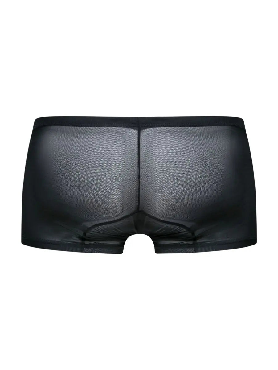 MaleBasics 남성 속옷 MBL78 레이스 트렁크 색상 블랙 메시
