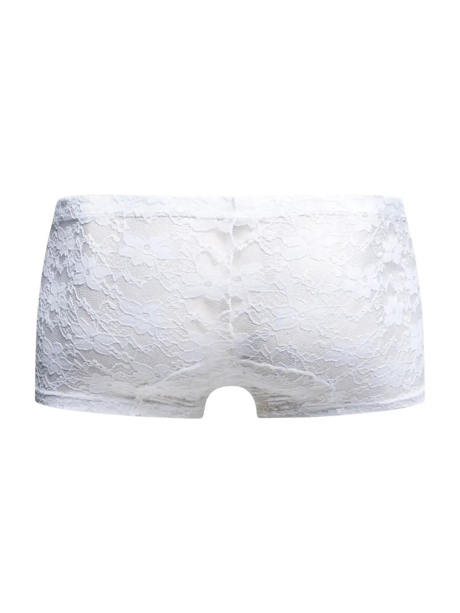 MaleBasics 남성 속옷 MBL78 레이스 트렁크 컬러 화이트 레이스
